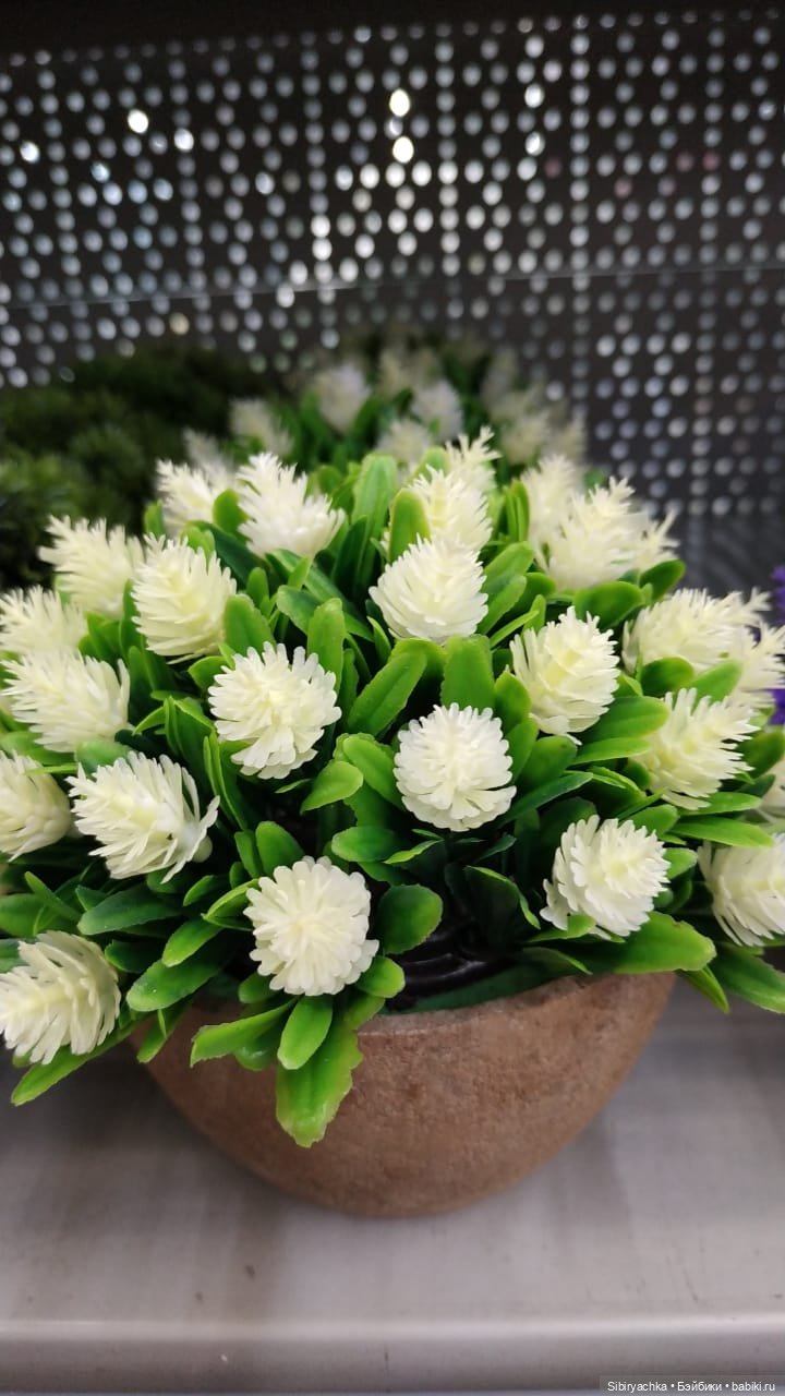 Глаша в цветочном отделе — Игровые куклы разных производителей (Разное): редкие бренды (фото 3)