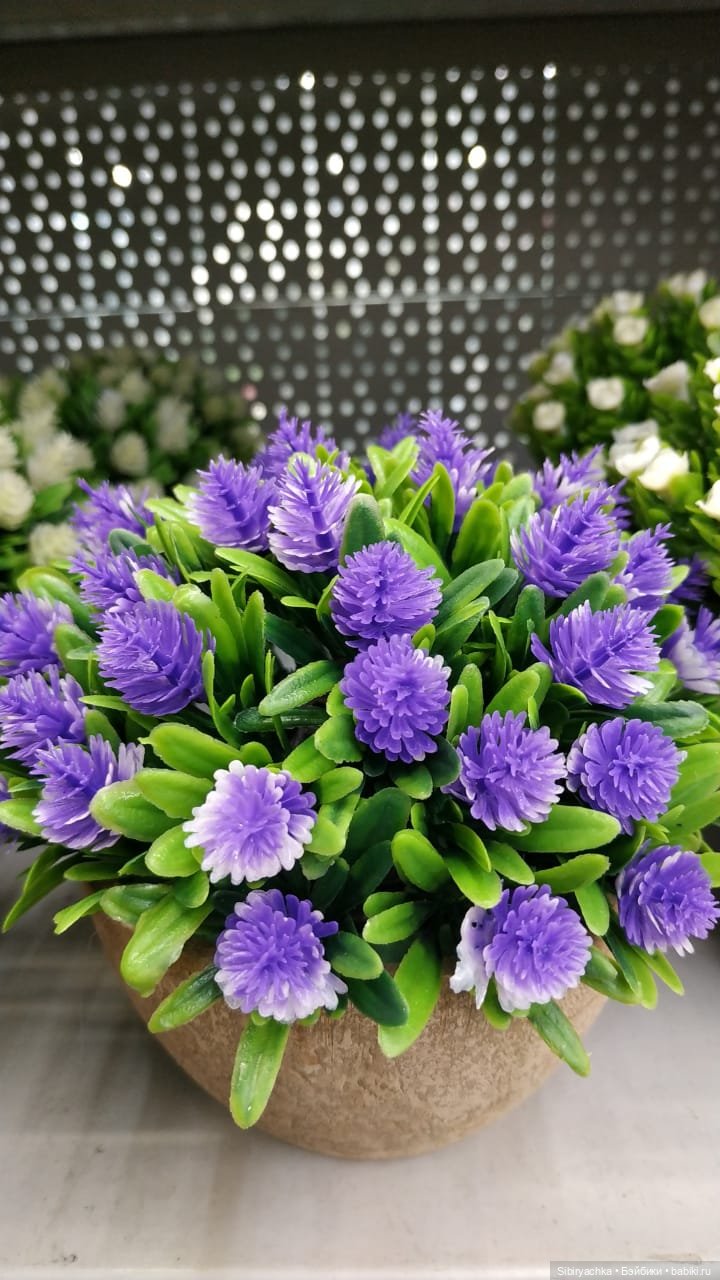 Глаша в цветочном отделе — Игровые куклы разных производителей (Разное): редкие бренды