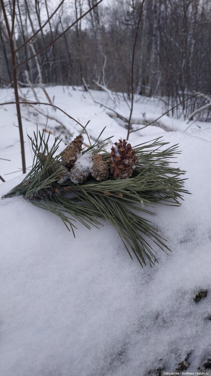 Весна совсем забыла про Сибирь