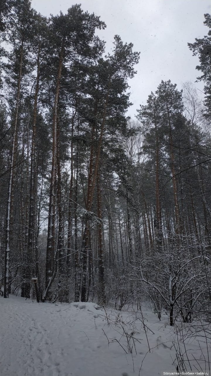 Весна совсем забыла про Сибирь