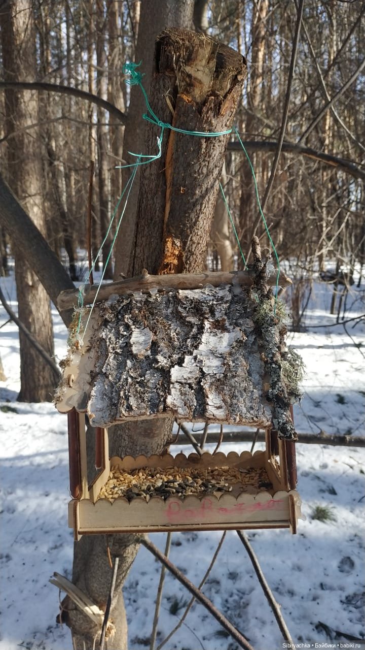 Субботнее утро Лизоньки — Игровые куклы разных производителей (Разное): редкие бренды (фото 6)