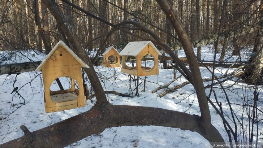 Субботнее утро Лизоньки — Игровые куклы разных производителей (Разное): редкие бренды