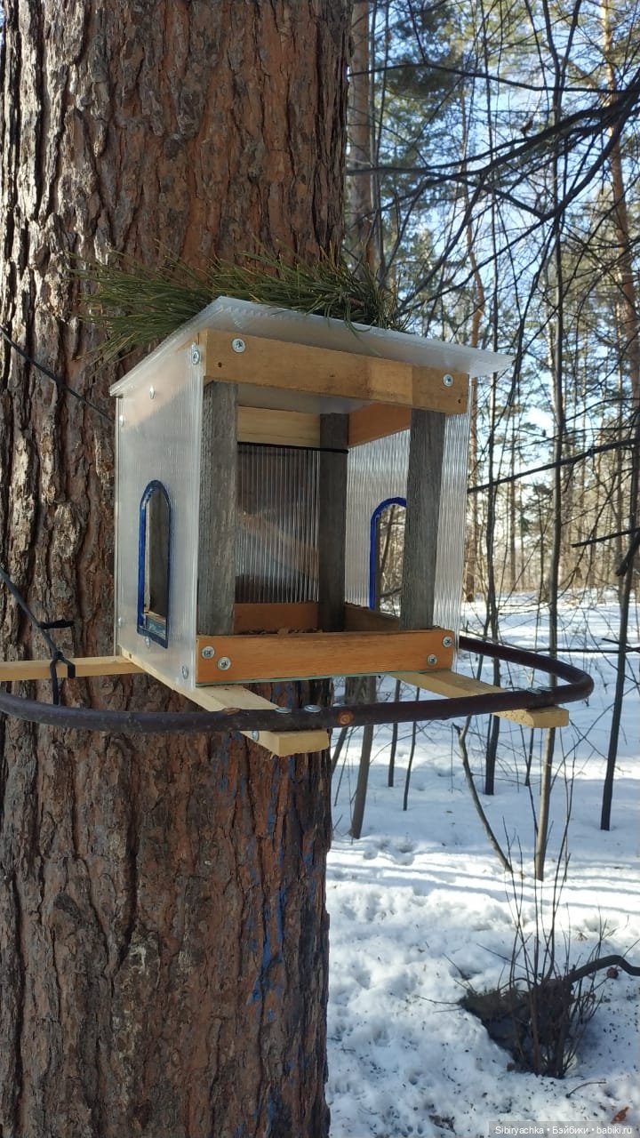 Субботнее утро Лизоньки — Игровые куклы разных производителей (Разное): редкие бренды (фото 4)