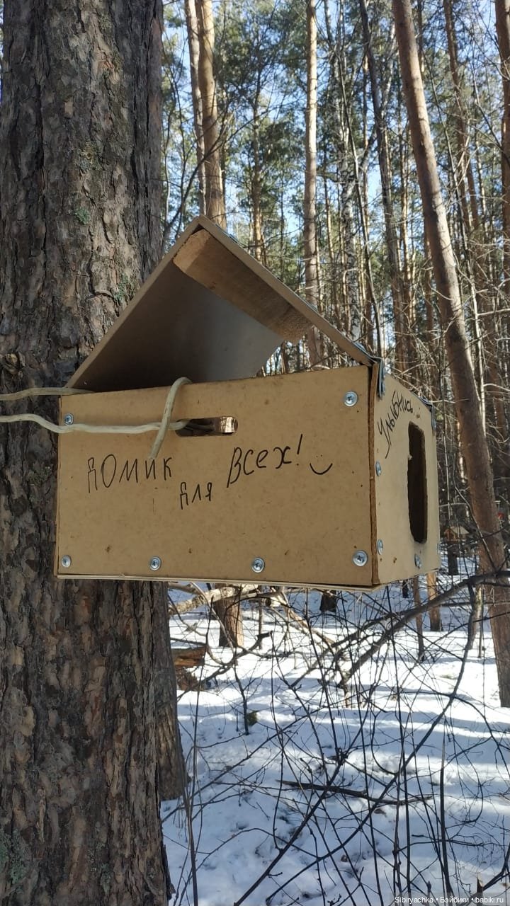 Субботнее утро Лизоньки — Игровые куклы разных производителей (Разное): редкие бренды