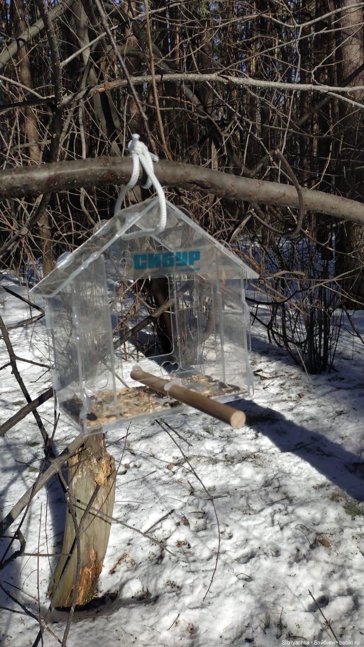 Субботнее утро Лизоньки — Игровые куклы разных производителей (Разное): редкие бренды (фото 5)