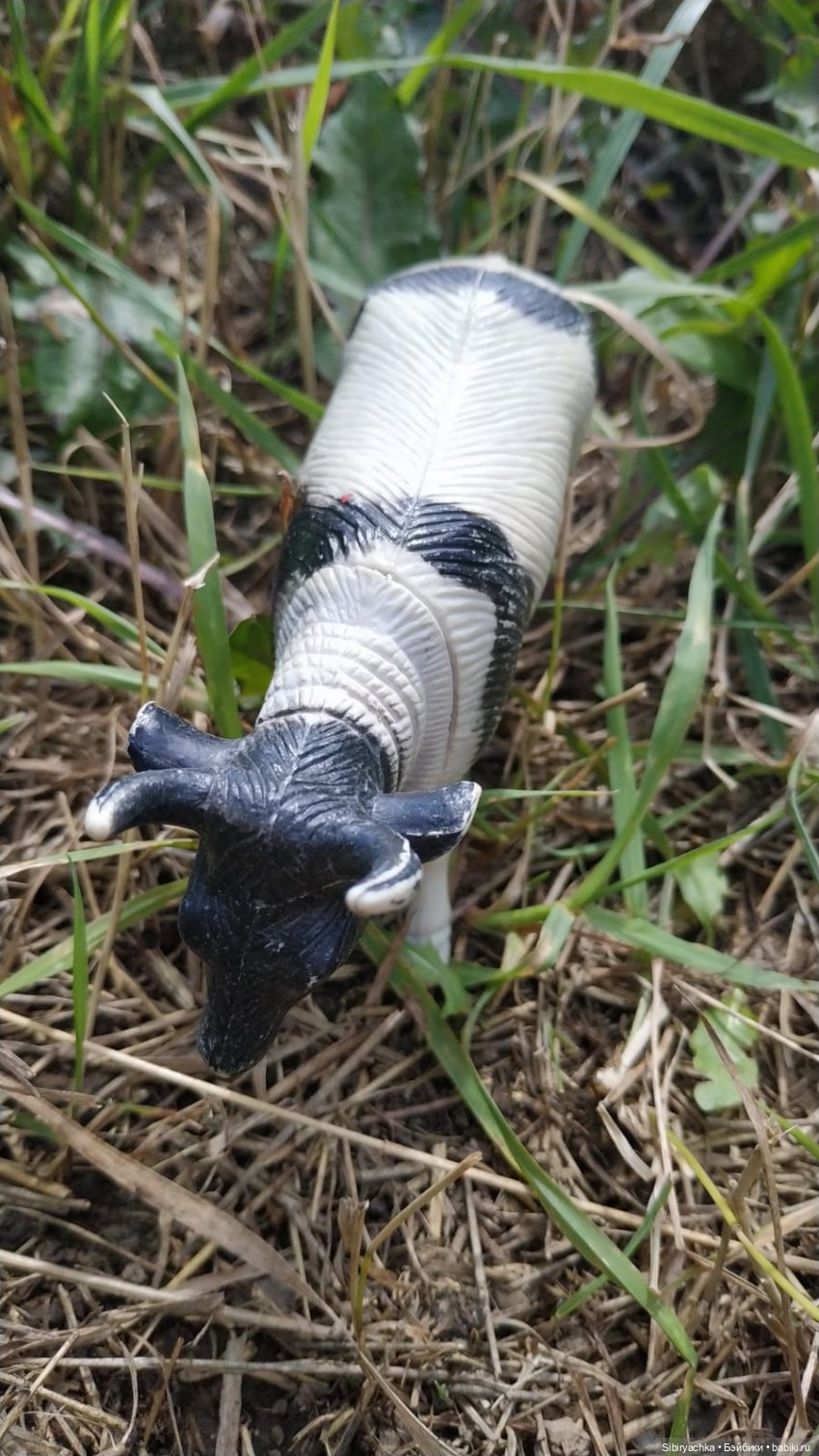 Летние игры со старыми игрушками