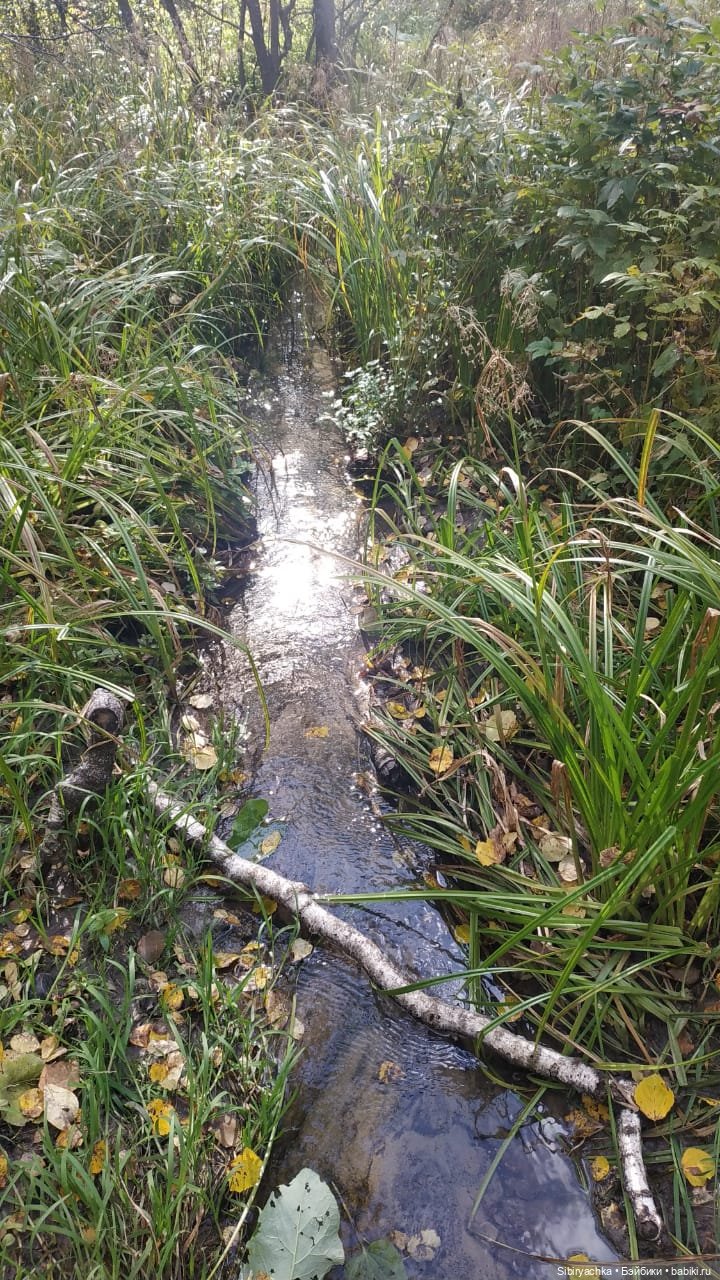 Летние игры со старыми игрушками