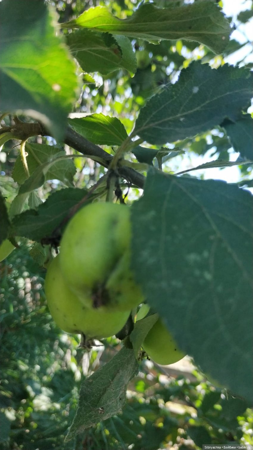 Летние игры со старыми игрушками (фото 2)