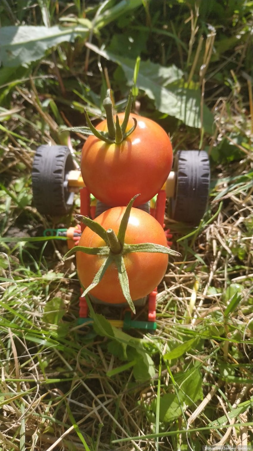 Летние игры со старыми игрушками