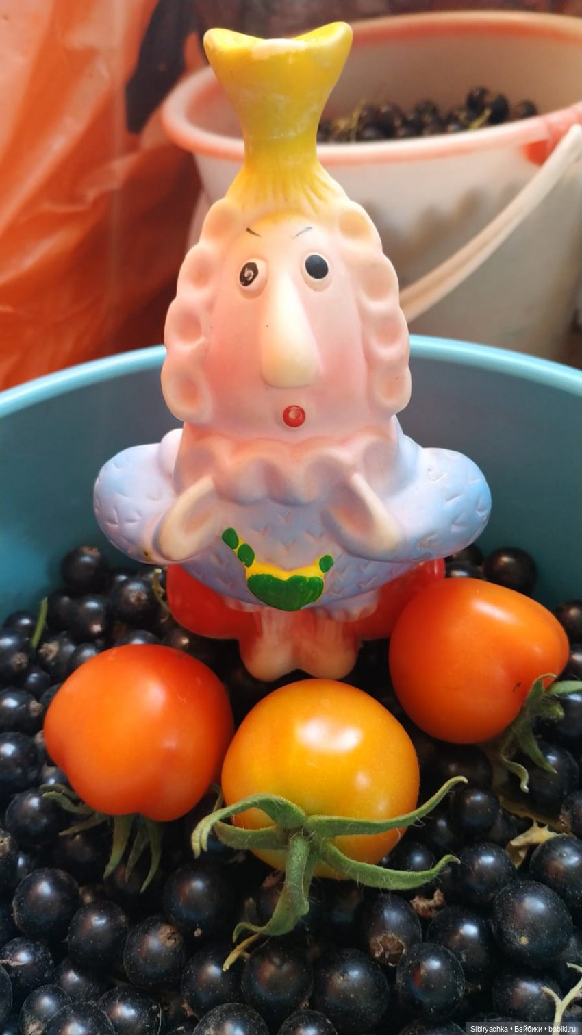 Летние игры со старыми игрушками (фото 8)