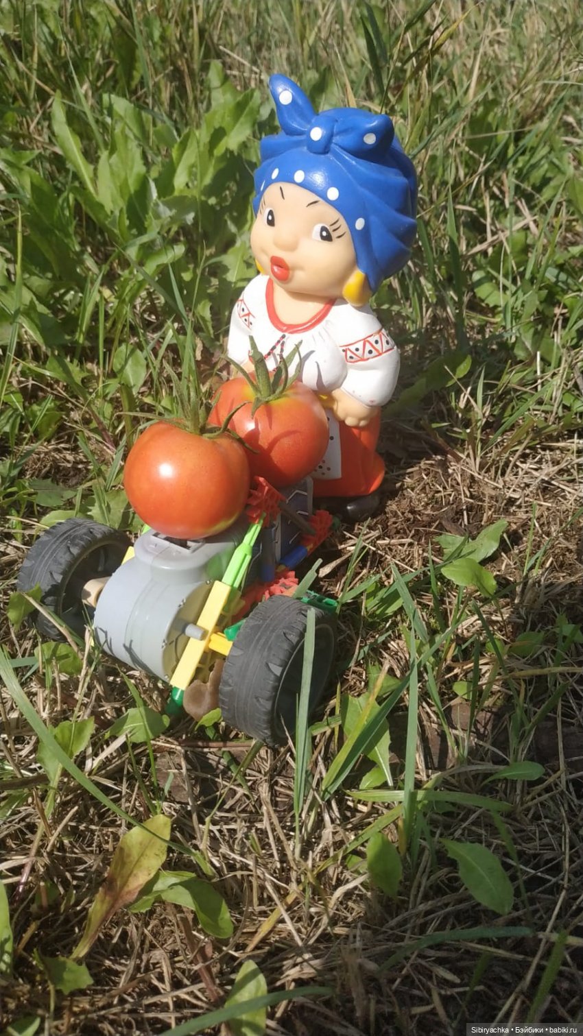 Летние игры со старыми игрушками