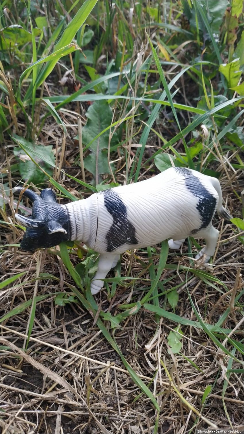 Летние игры со старыми игрушками