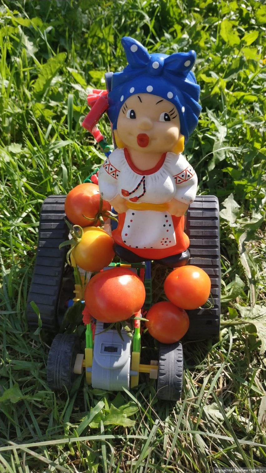 Летние игры со старыми игрушками