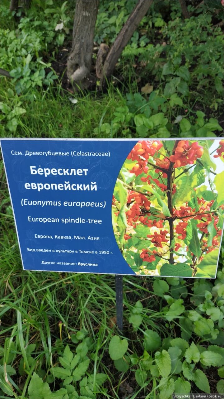 Летняя прогулка Коленьки — Игровые куклы разных производителей (Разное): редкие бренды