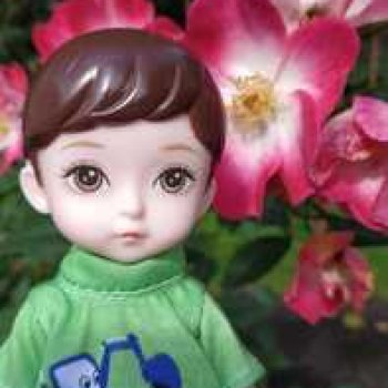 Летняя прогулка Коленьки.