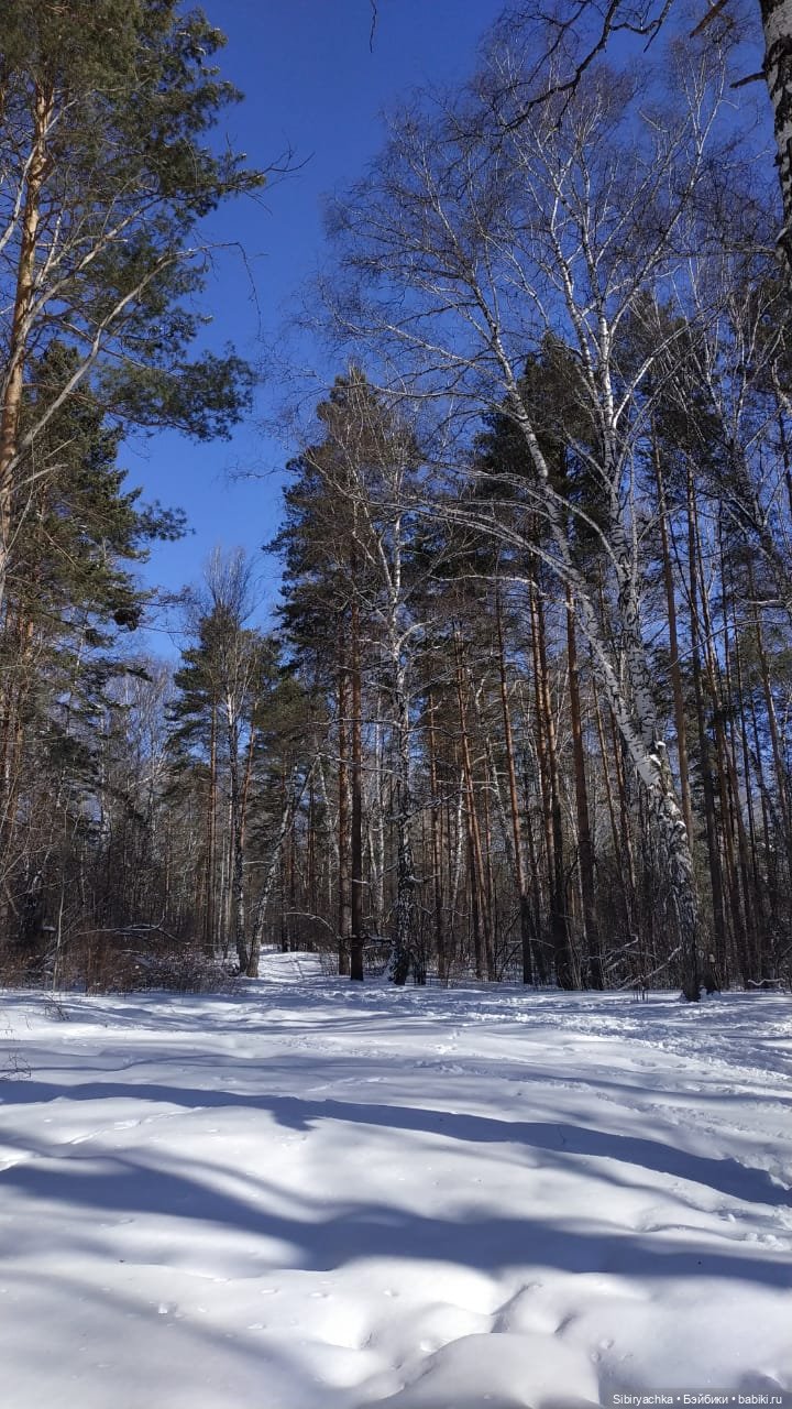Мартовская прогулка малышей