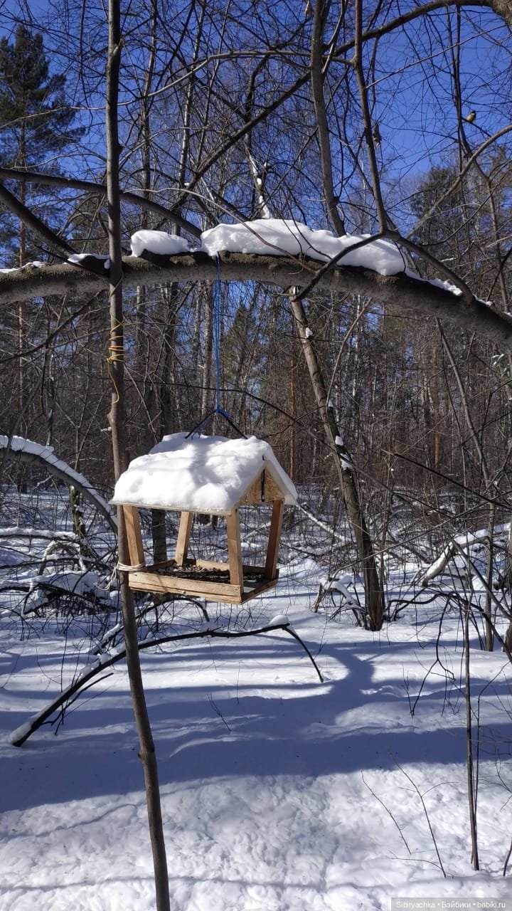 Мартовская прогулка малышей