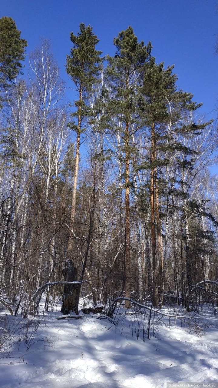 Мартовская прогулка малышей