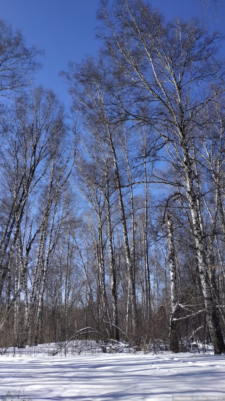 Мартовская прогулка малышей