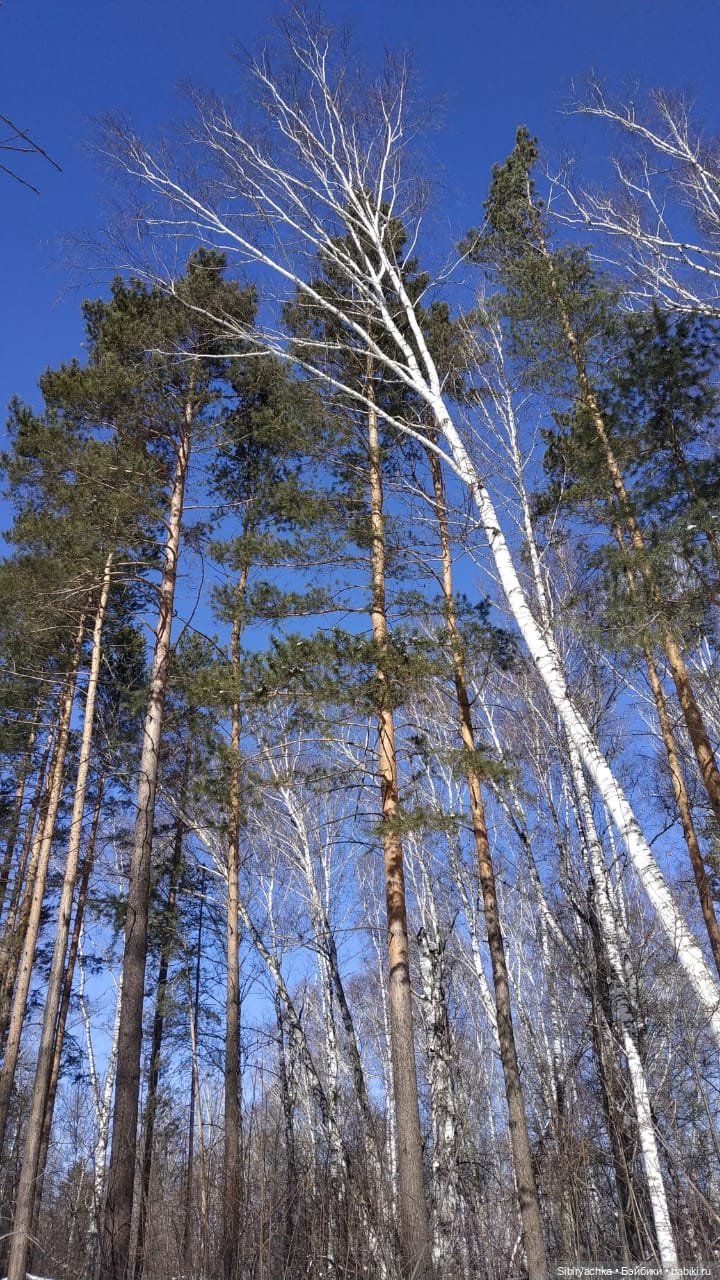 Мартовская прогулка малышей (фото 9)