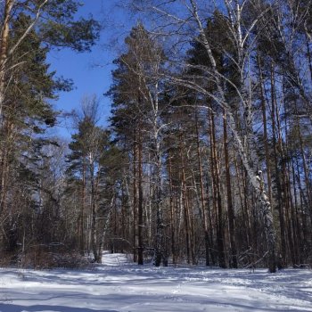 Мартовская прогулка малышей.