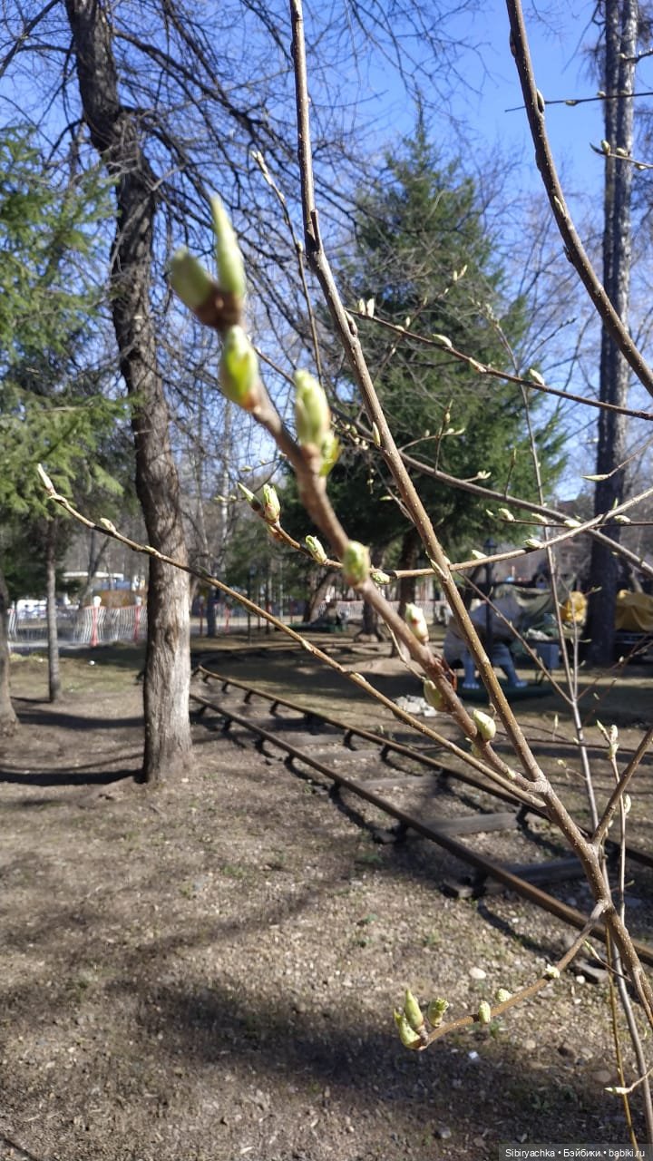 Варенька примеряет наряды к лету