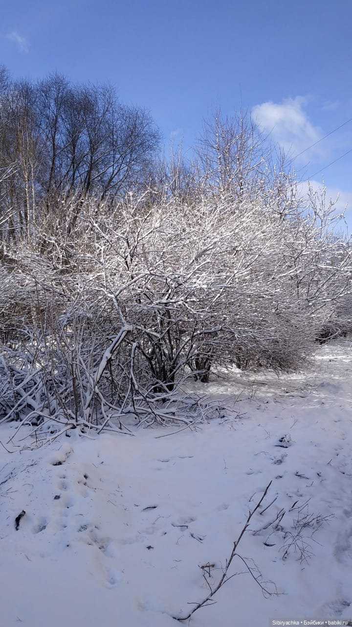 Варенька примеряет наряды к лету (фото 8)