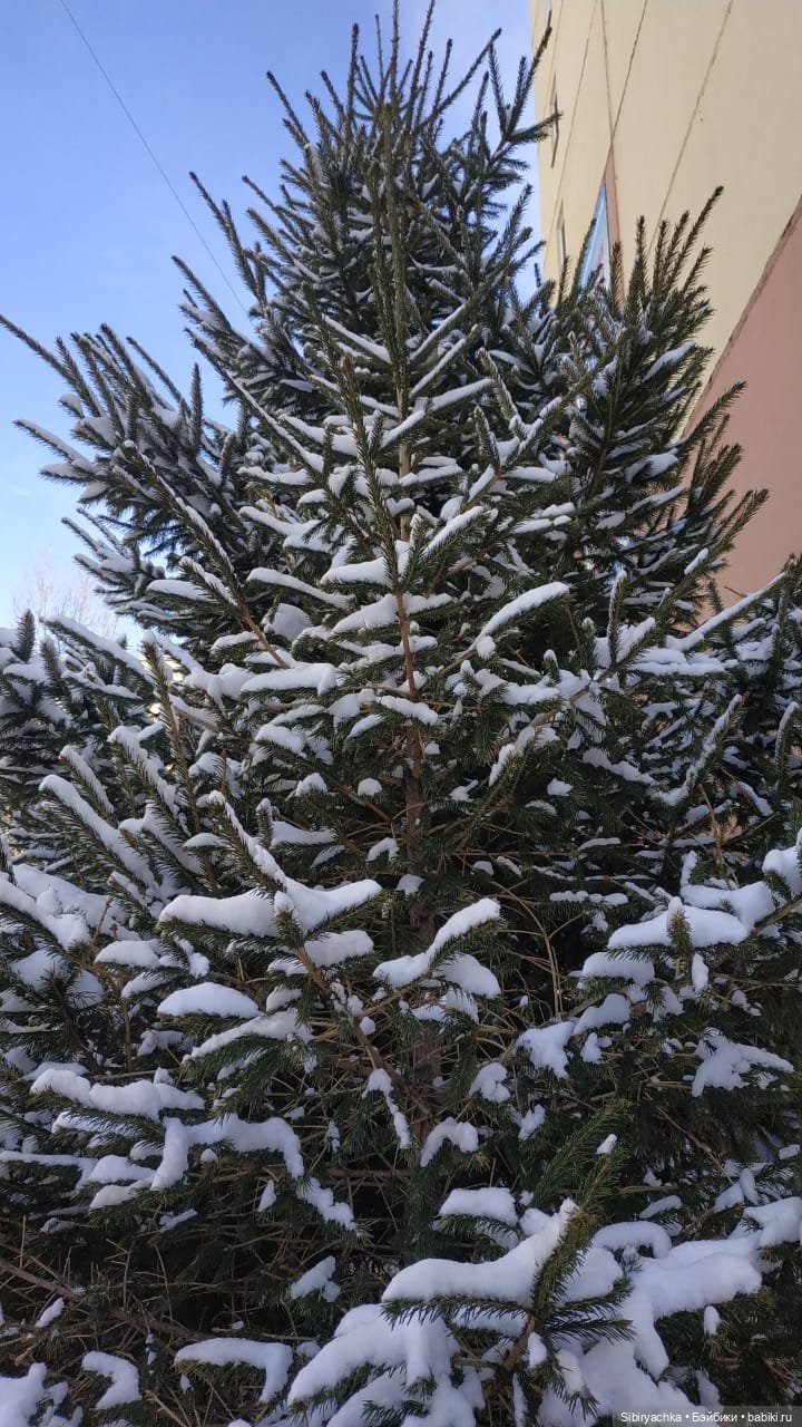 Варенька примеряет наряды к лету (фото 6)