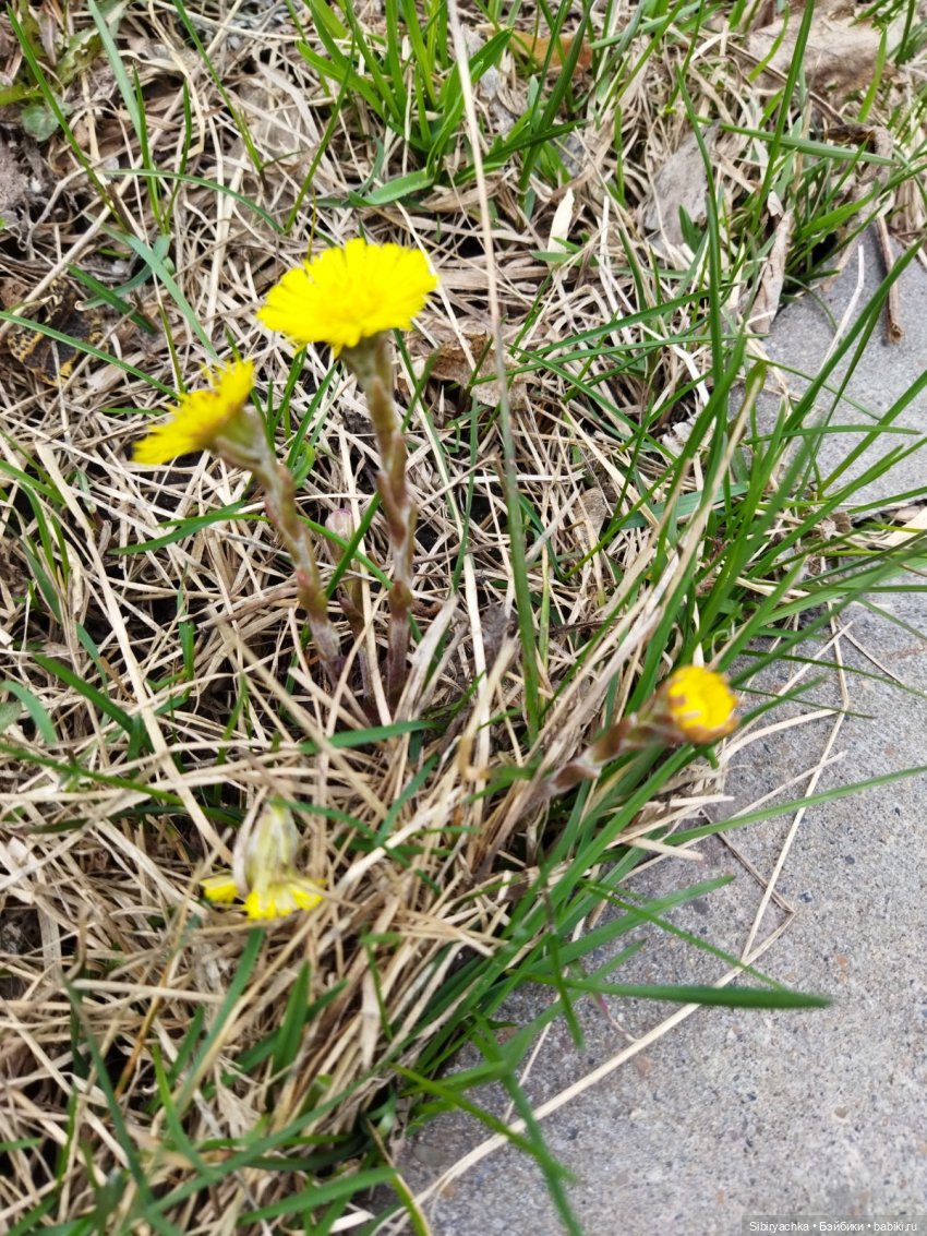 Варенька примеряет наряды к лету (фото 5)