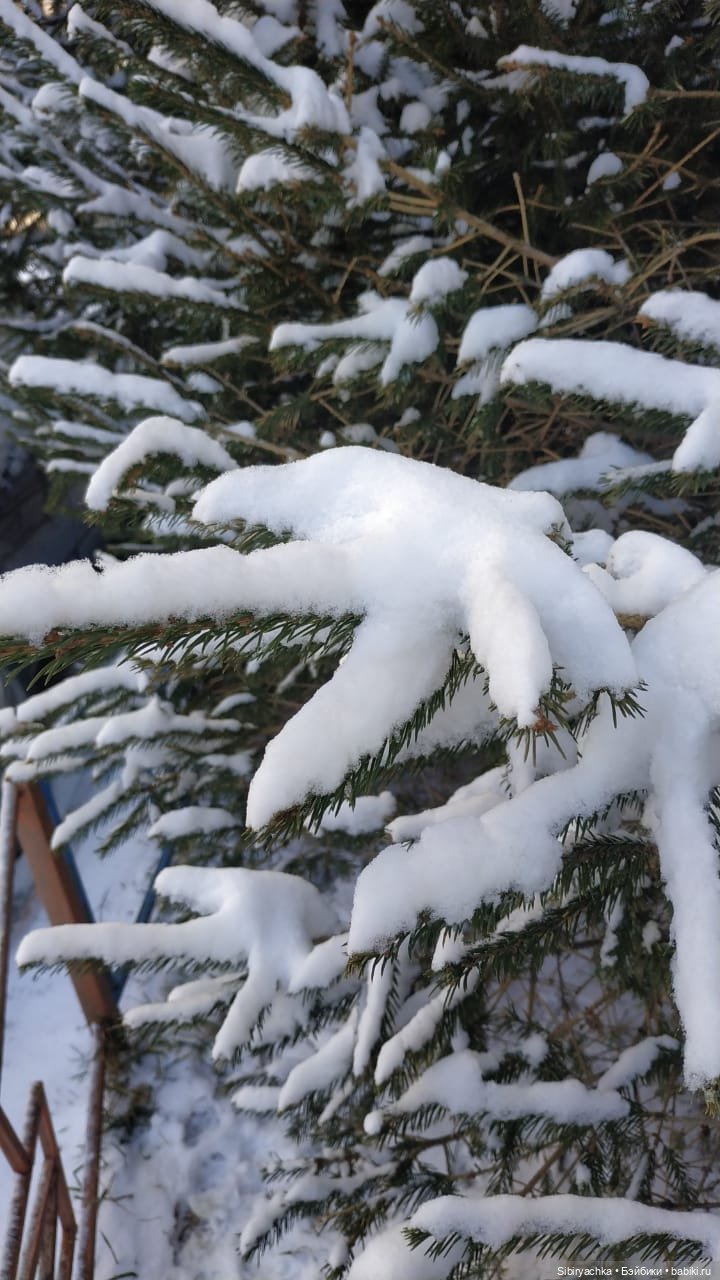 Варенька примеряет наряды к лету (фото 7)