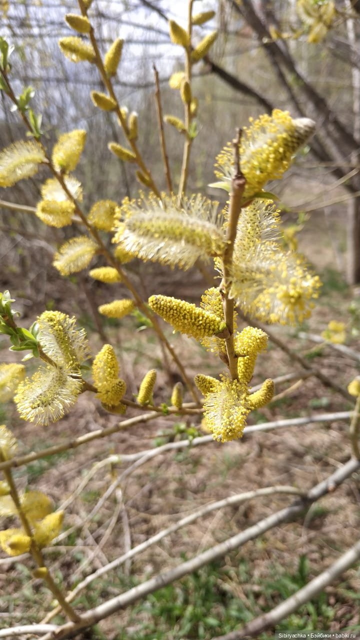 Весенняя прогулка Дуняши — Игровые куклы разных производителей (Разное): редкие бренды