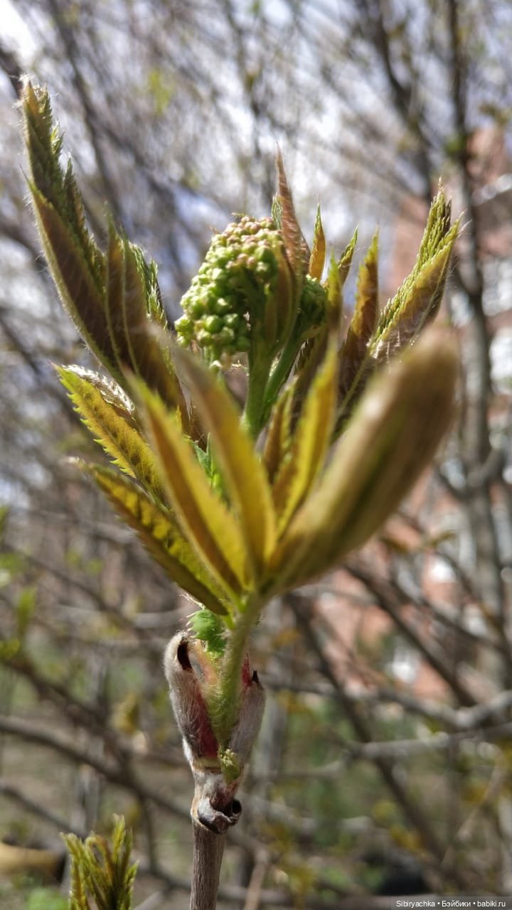 Весенняя прогулка Дуняши — Игровые куклы разных производителей (Разное): редкие бренды