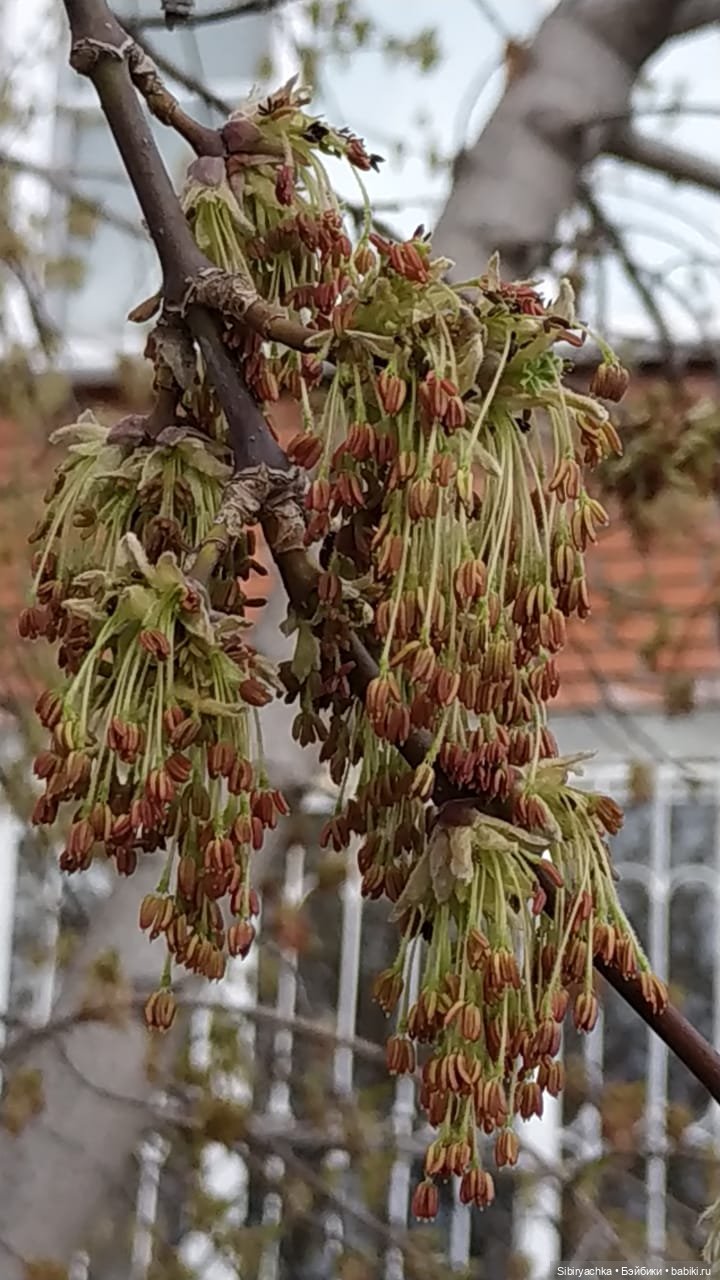 Весенняя прогулка Дуняши — Игровые куклы разных производителей (Разное): редкие бренды