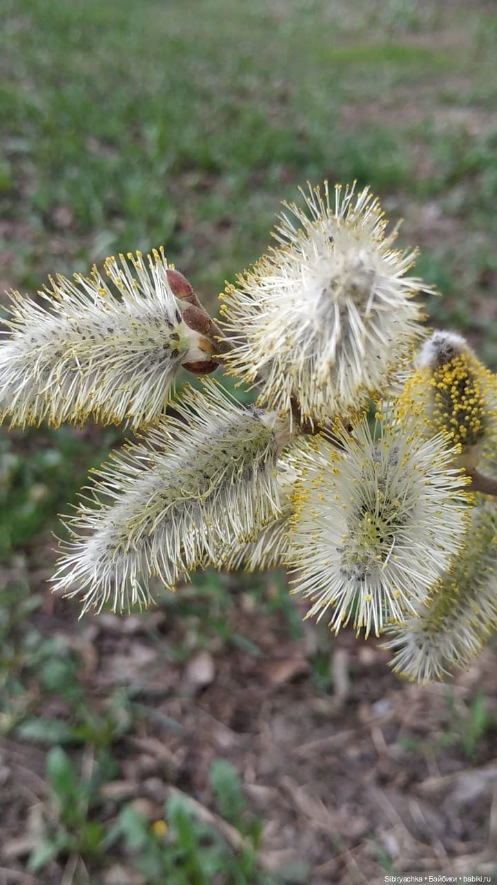 Весенняя прогулка Дуняши — Игровые куклы разных производителей (Разное): редкие бренды