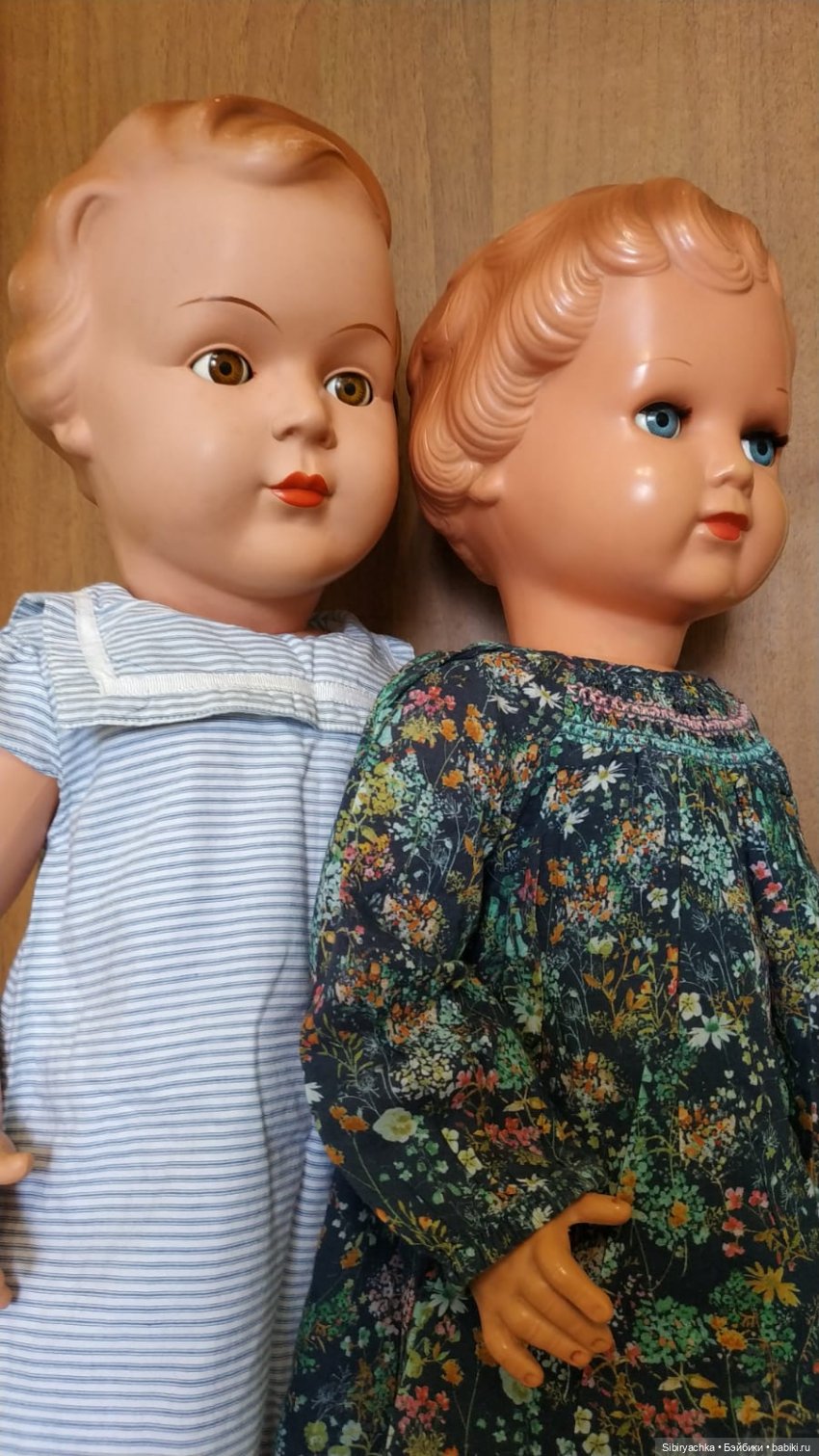 Варенька находит старшую сестру