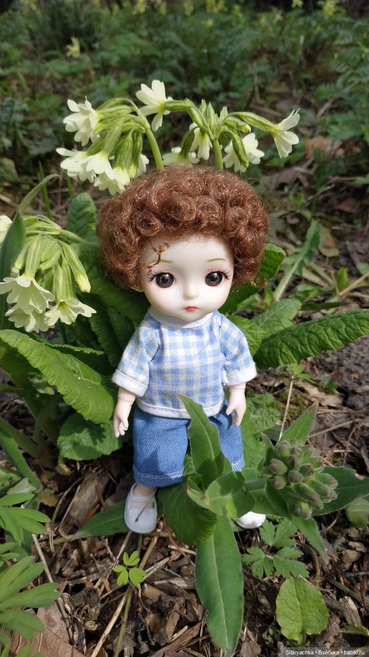 Первая весенняя прогулка Василька