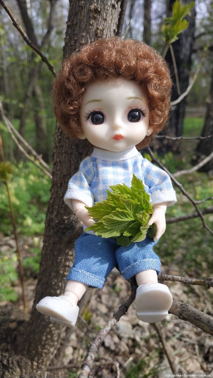 Первая весенняя прогулка Василька (фото 8)