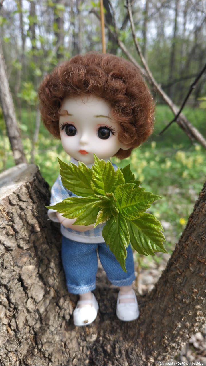 Первая весенняя прогулка Василька (фото 9)