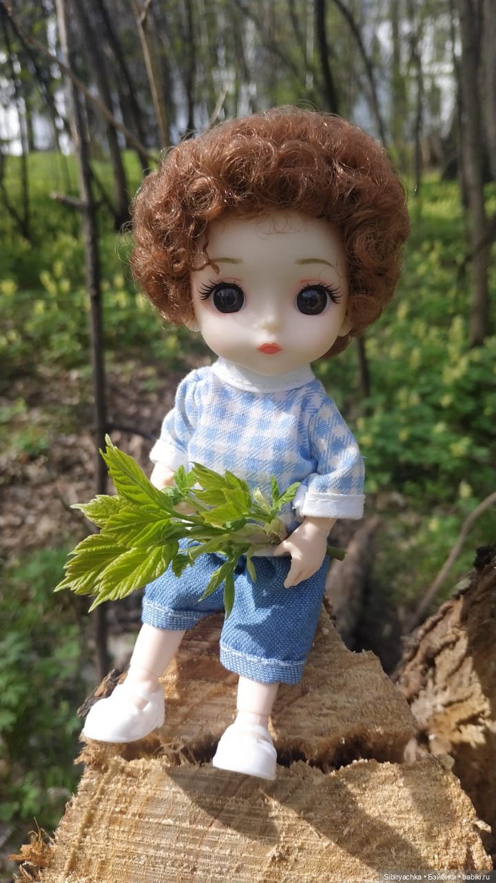 Первая весенняя прогулка Василька (фото 6)