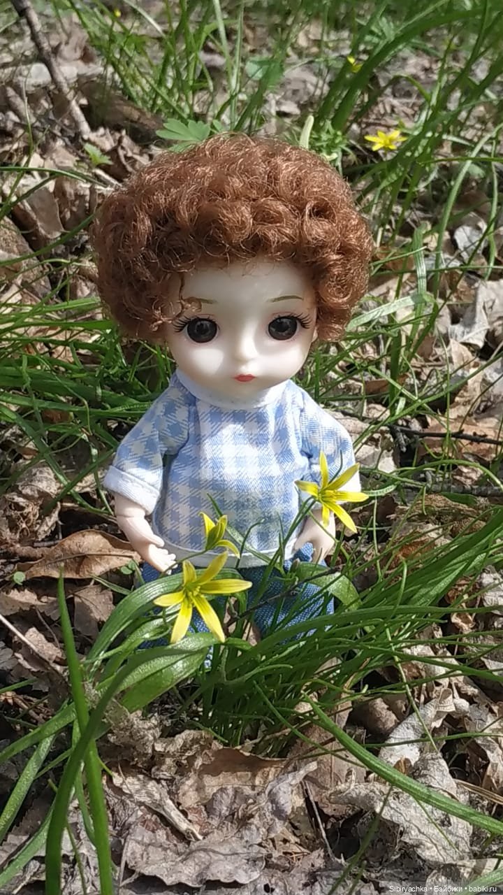 Первая весенняя прогулка Василька (фото 7)