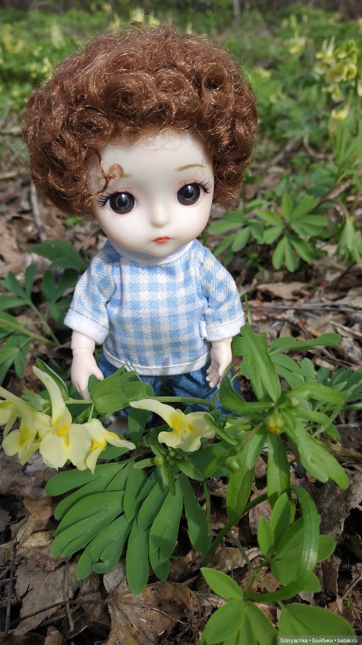 Первая весенняя прогулка Василька (фото 10)