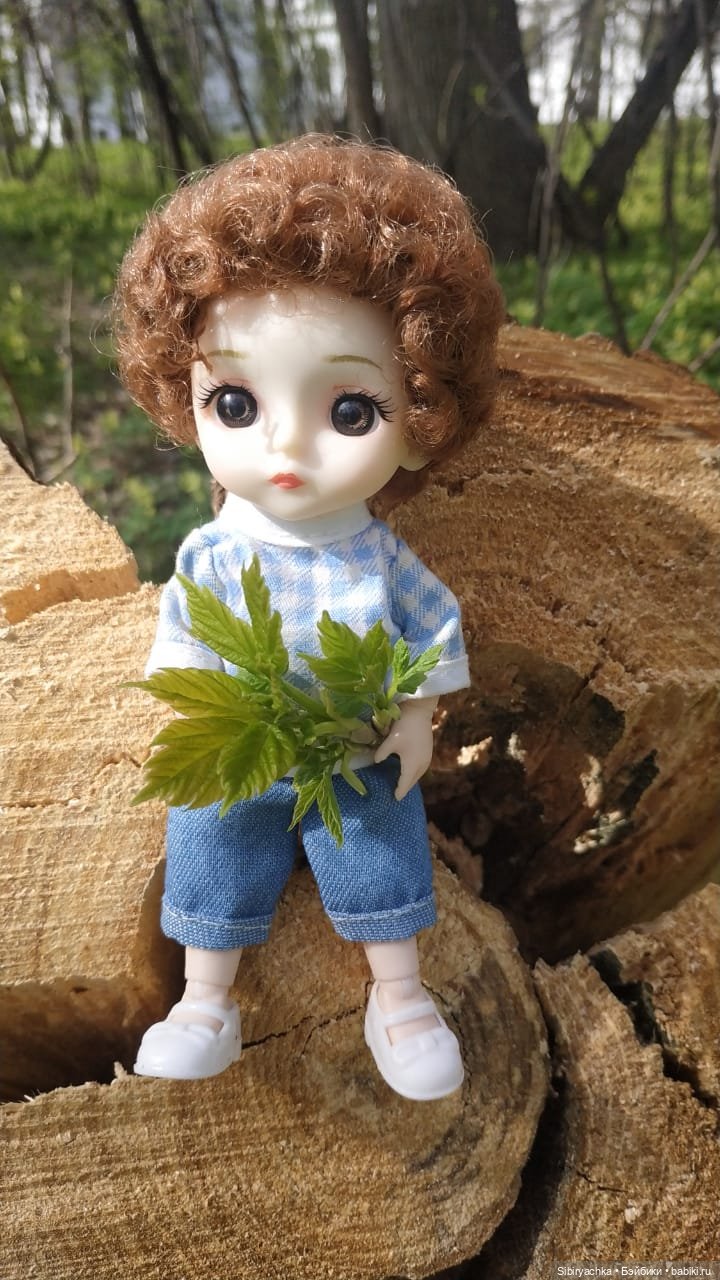 Первая весенняя прогулка Василька (фото 5)