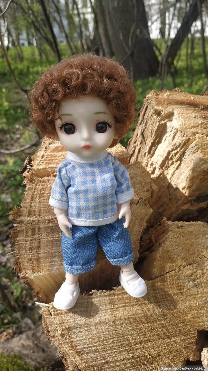 Первая весенняя прогулка Василька (фото 4)