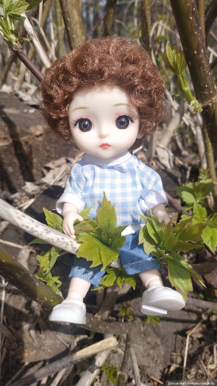 Первая весенняя прогулка Василька (фото 2)