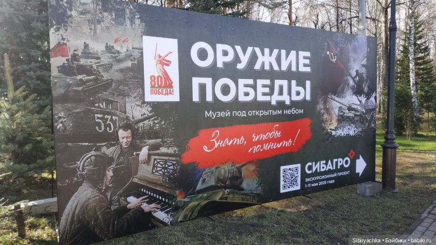 Василёк на выставке военной техники (фото 7)