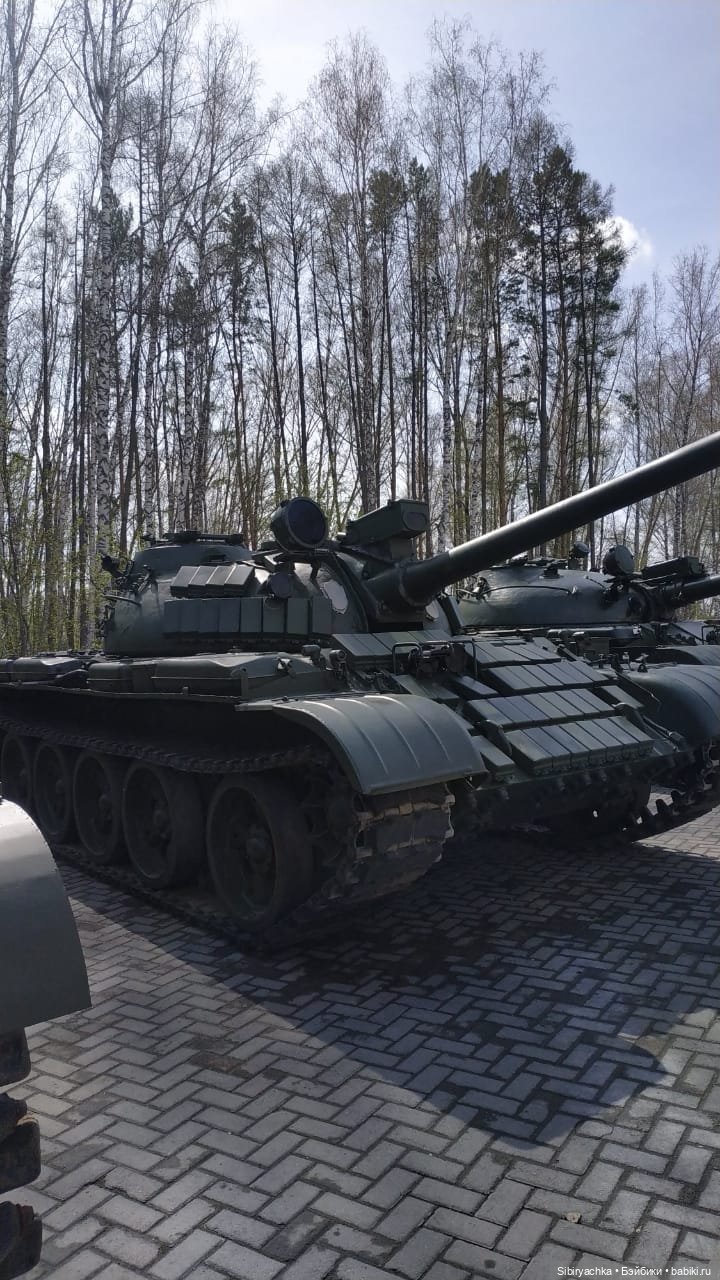 Василёк на выставке военной техники