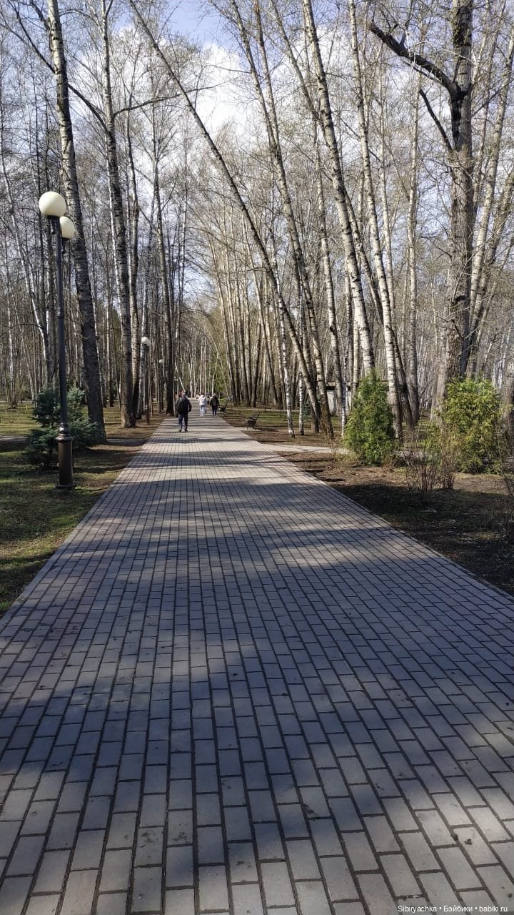 Василёк на выставке военной техники (фото 8)