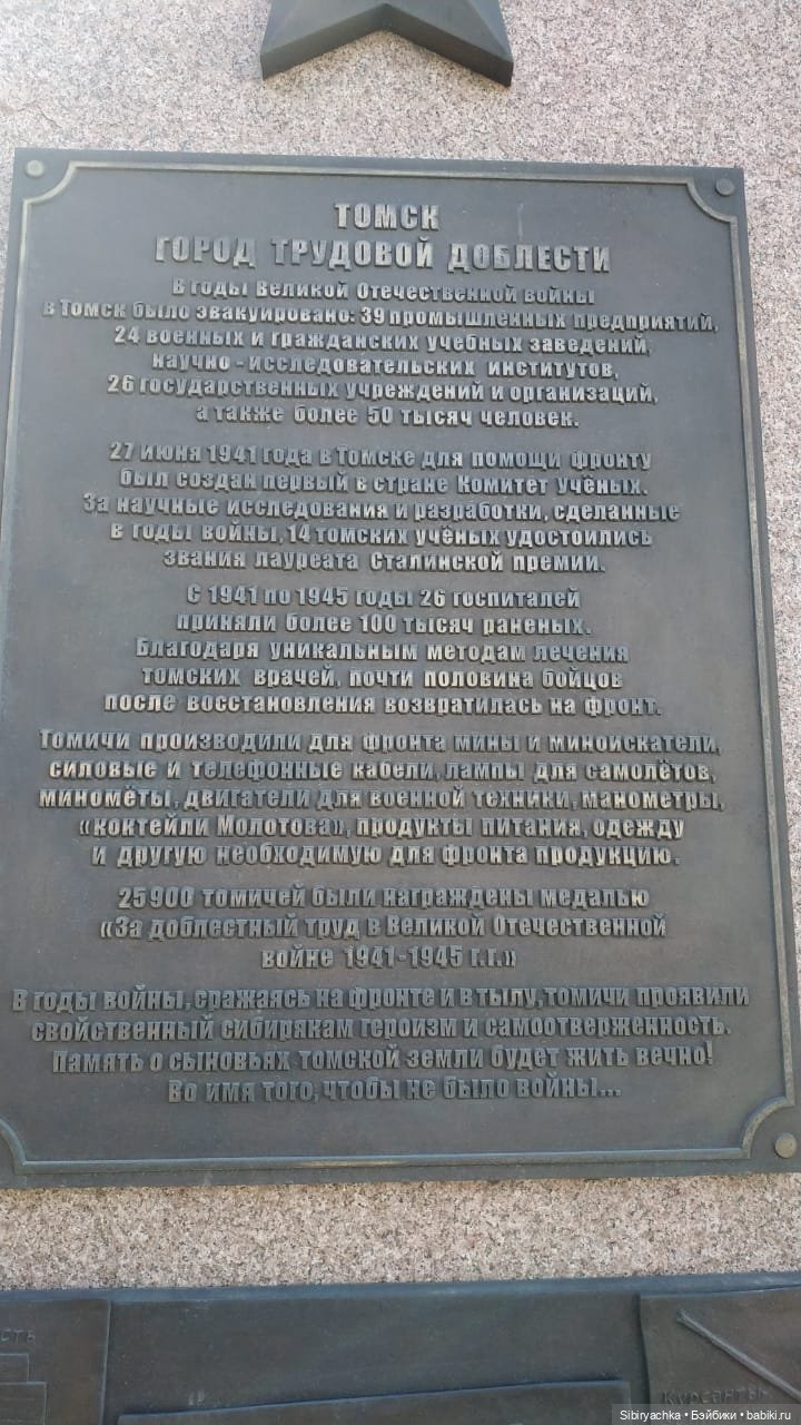 Василёк на выставке военной техники (фото 2)