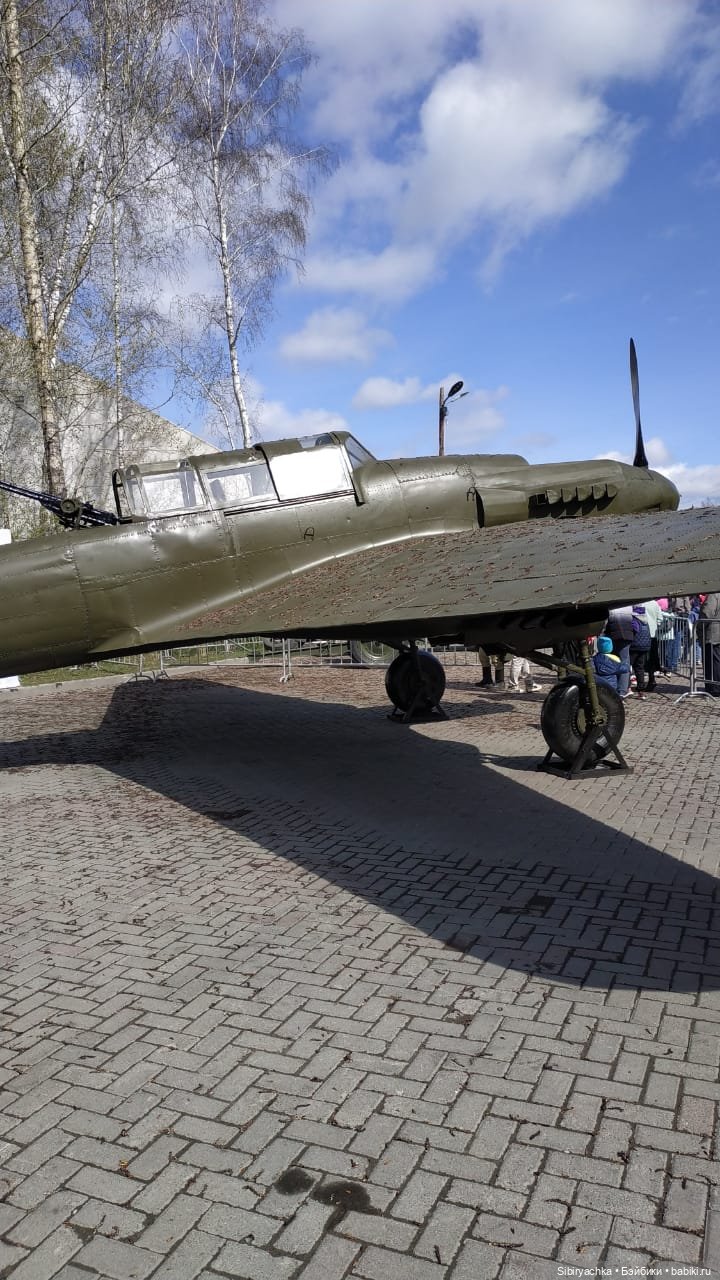Василёк на выставке военной техники