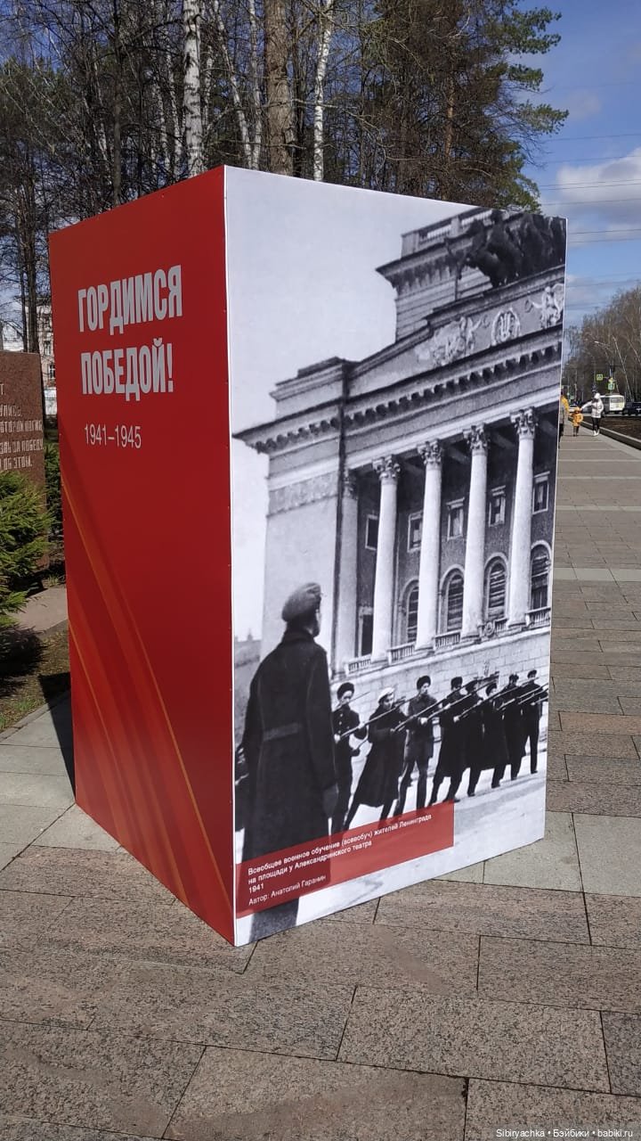 Василёк на выставке военной техники